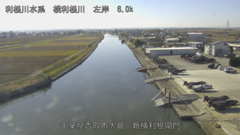 yoko2025120712_image