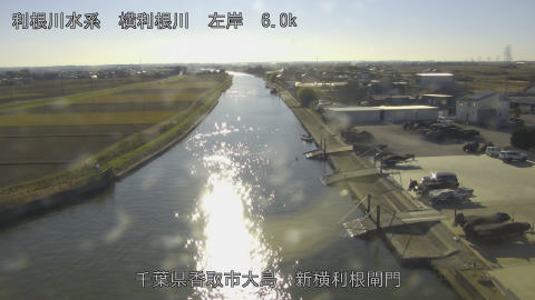 yoko2025120714_image