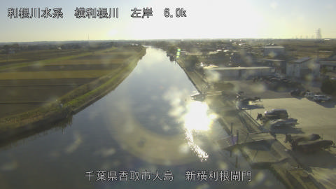 yoko2025120715_image