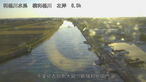 yoko2025120716_image