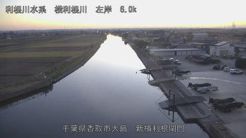 yoko2025120717_image