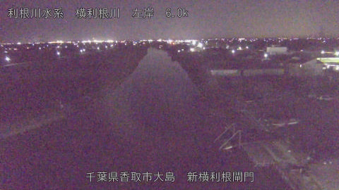 yoko2025120719_image