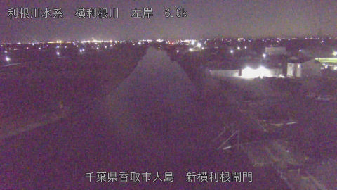 yoko2025120720_image