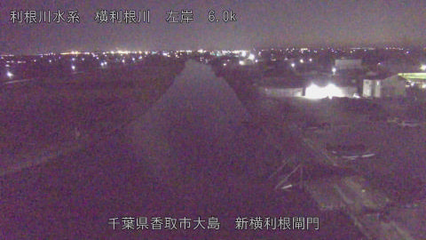 yoko2025120721_image