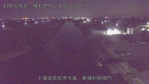 yoko2025120801_image