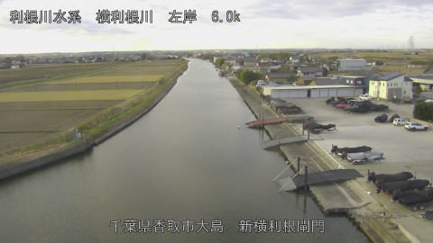 yoko2025120908_image