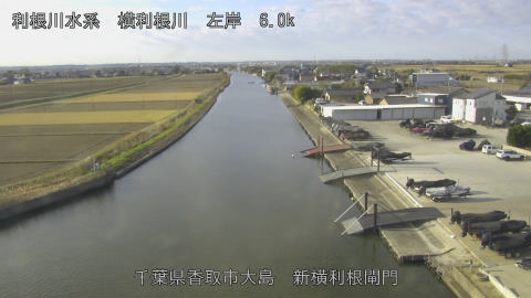 yoko2025120909_image