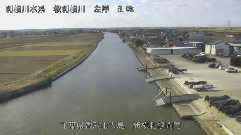 yoko2025120910_image