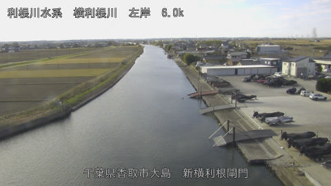 yoko2025120911_image