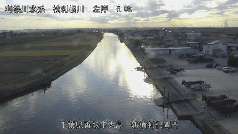 yoko2025120915_image