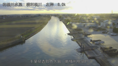 yoko2025120916_image