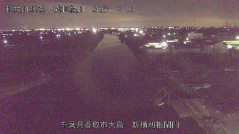 yoko2025120919_image