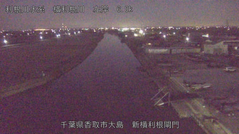 yoko2025121006_image