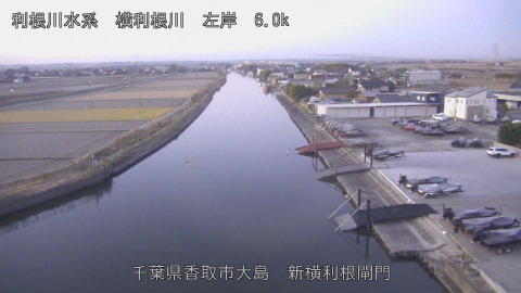 yoko2025121007_image