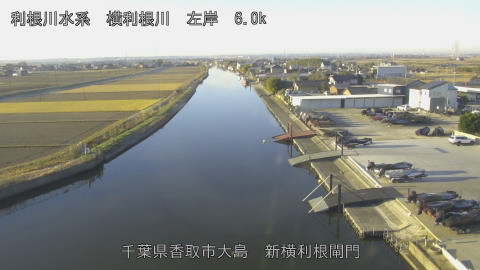 yoko2025121008_image