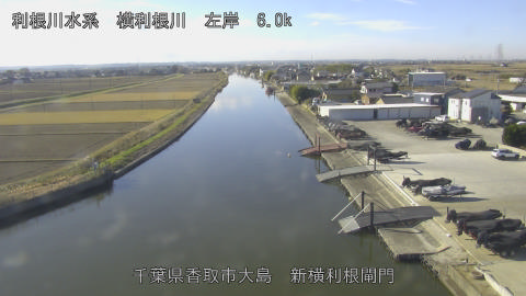 yoko2025121010_image