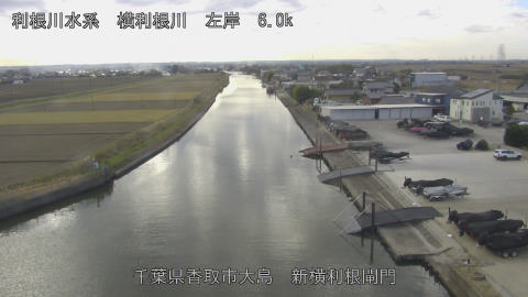 yoko2025121012_image