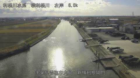 yoko2025121014_image