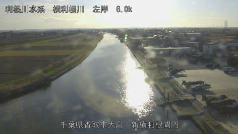 yoko2025121015_image