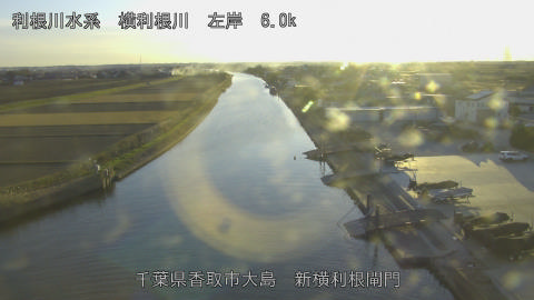 yoko2025121016_image