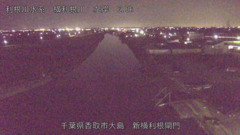 yoko2025121018_image