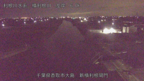 yoko2025121103_image