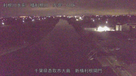 yoko2025121105_image