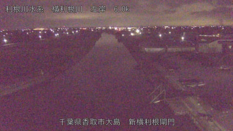 yoko2025121106_image