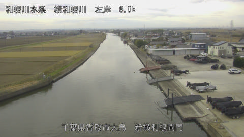 yoko2025121108_image