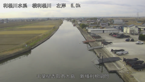 yoko2025121109_image