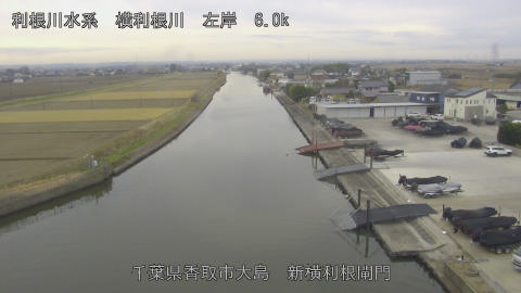 yoko2025121110_image