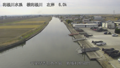 yoko2025121111_image