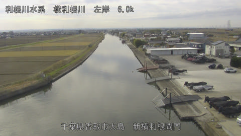 yoko2025121112_image