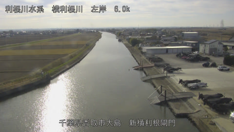 yoko2025121113_image