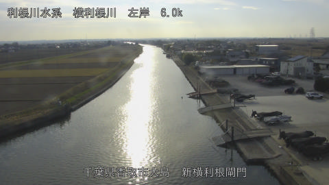 yoko2025121114_image