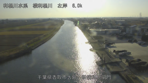 yoko2025121115_image