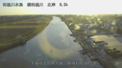 yoko2025121116_image