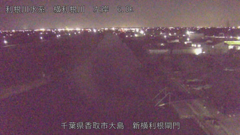 yoko2025121118_image