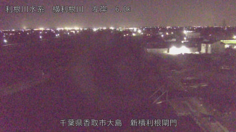 yoko2025121120_image