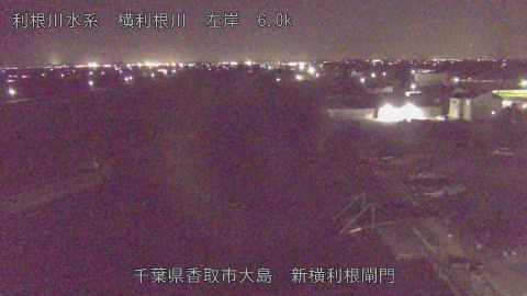 yoko2025121121_image