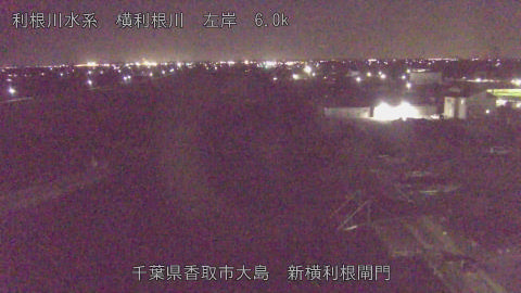 yoko2025121122_image