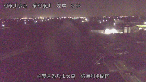 yoko2025121123_image