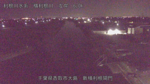 yoko2025121205_image