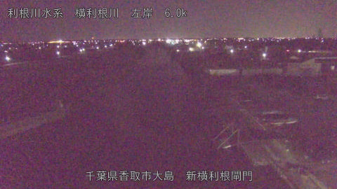 yoko2025121206_image