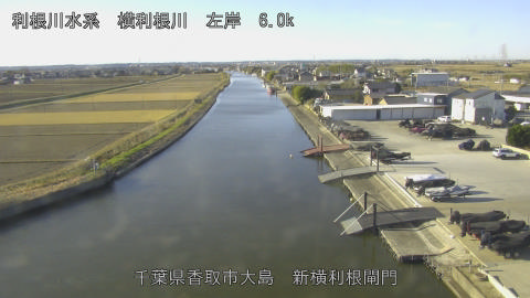 yoko2025121209_image