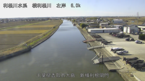 yoko2025121211_image