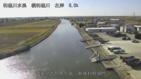 yoko2025121212_image