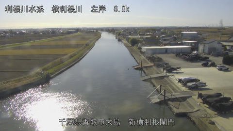 yoko2025121213_image