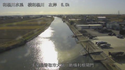 yoko2025121214_image