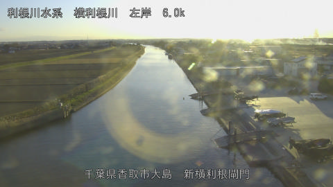 yoko2025121216_image